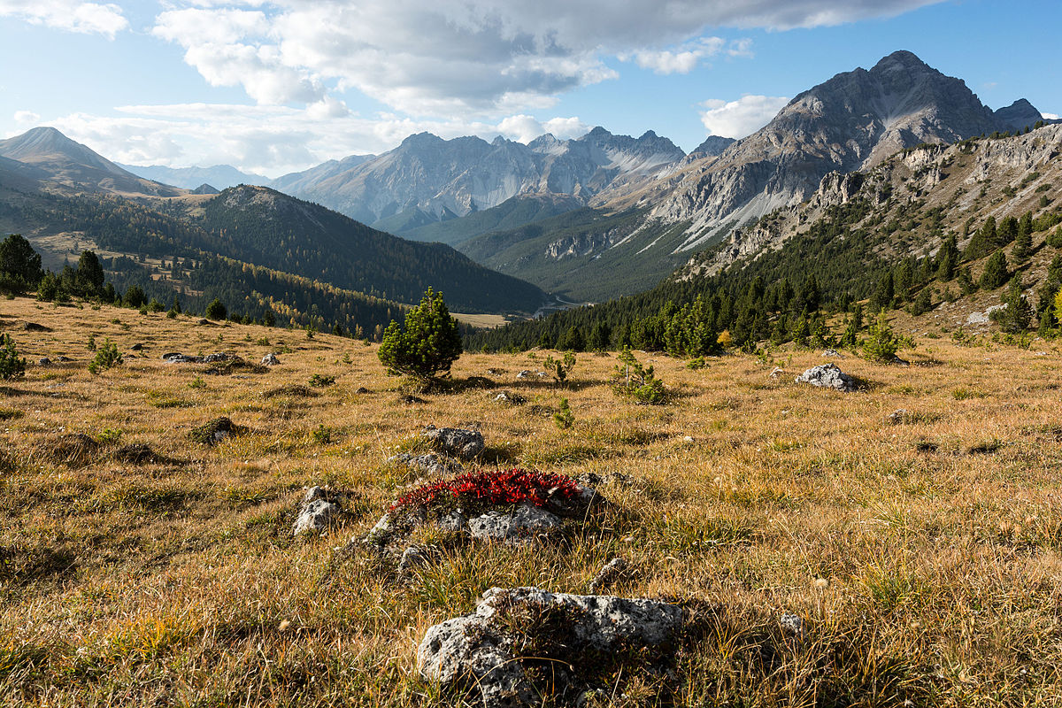 Swiss National Park: